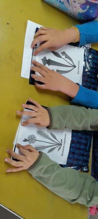 00- WhatsApp Image 2025-08-27 at 17.14.06 (1)