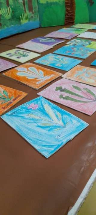 00- WhatsApp Image 2025-08-27 at 17.14.16